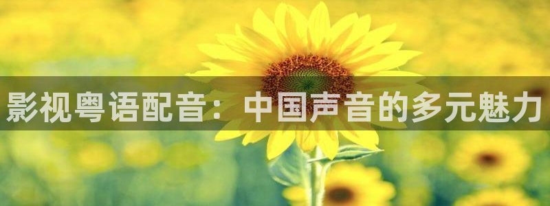 久久天堂精品视频