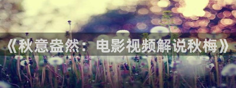 达达兔影院神马电影天堂