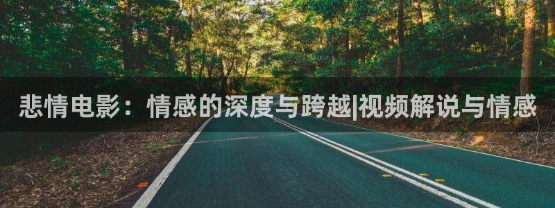 天堂午夜电影网