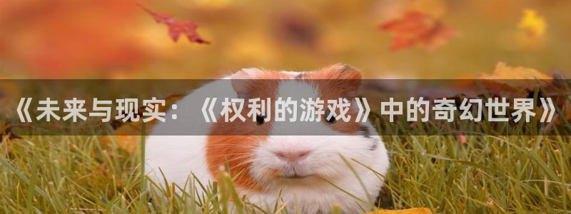 秋霞电影天堂在线