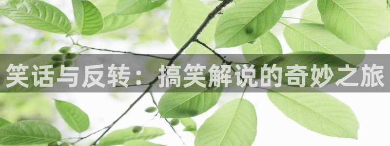 新视觉影院特片网电影天堂