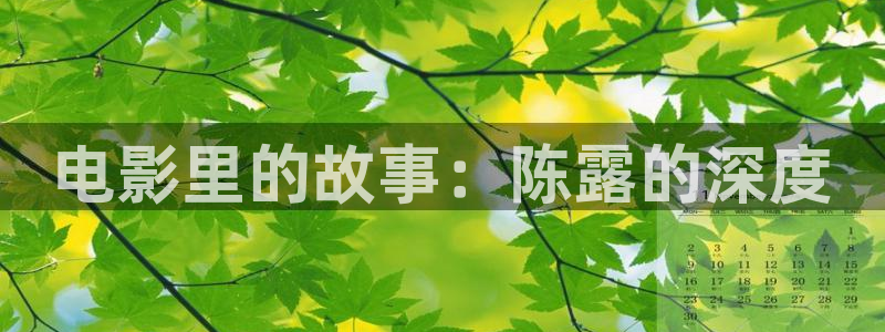 光棍天堂电影在线播放