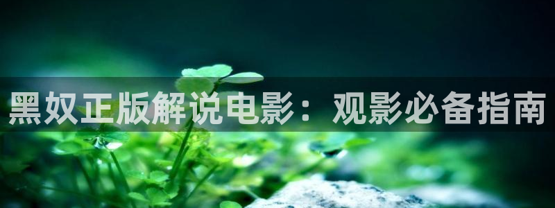 漫禁天堂网站