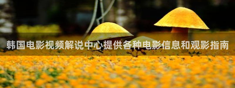 av在线天堂人人