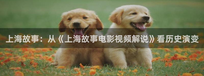天堂影院电视剧全集观看