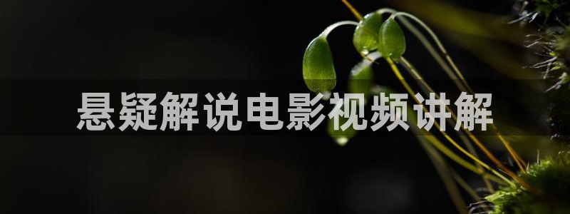 亚洲天堂私人影院