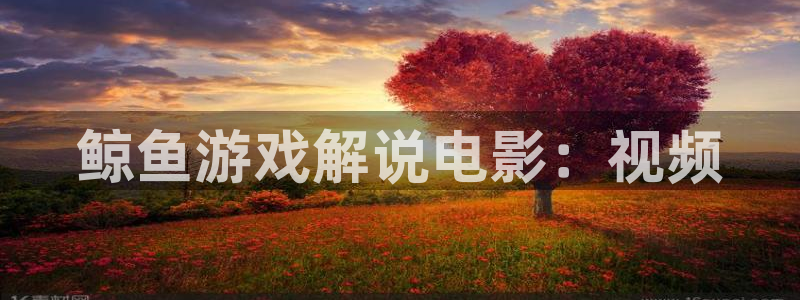 秋霞影院天堂