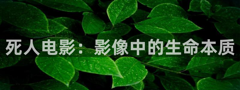 天堂动画网