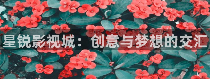成年视频女人的天堂天天看片