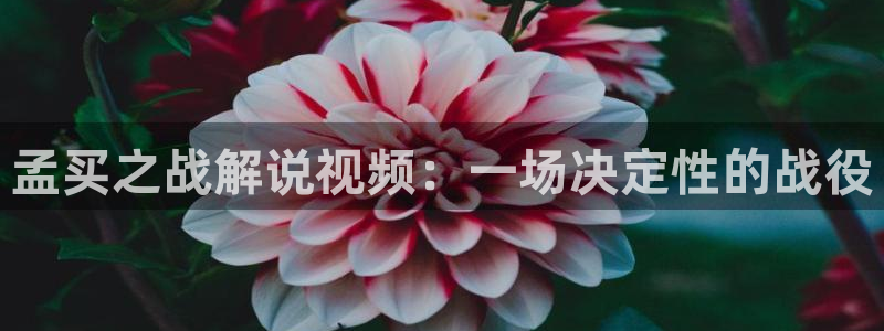 天堂影院在线观看免费高清电视剧